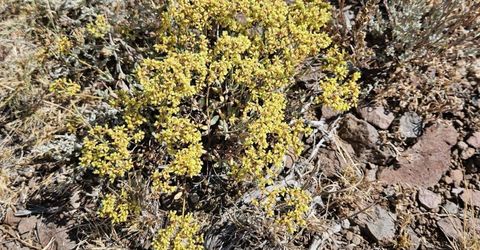 80 Rodero Road, Reno, NV 89510 Photo