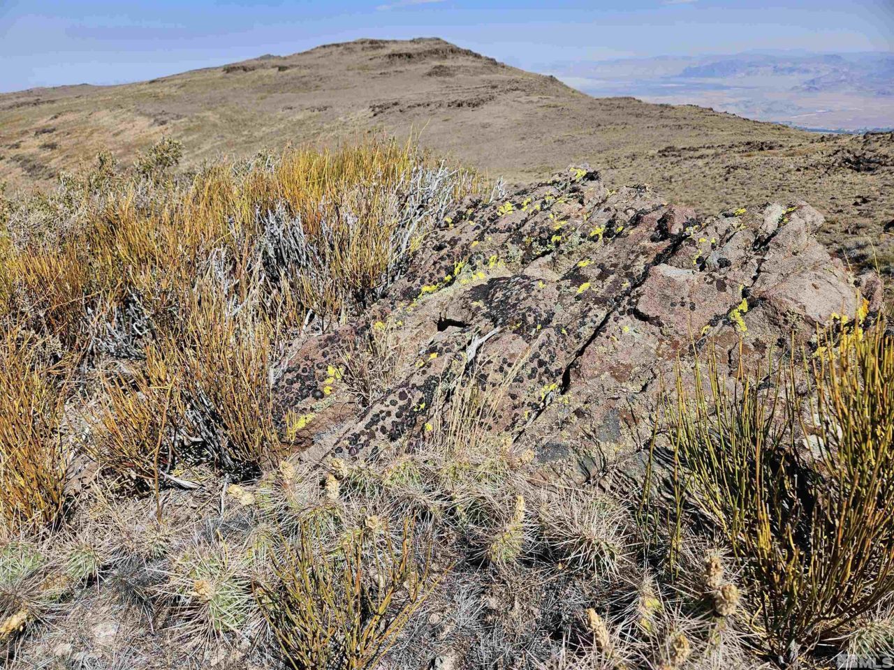 80 Rodero Road, Reno, NV 89510 Photo