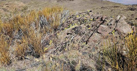 80 Rodero Road, Reno, NV 89510 Photo