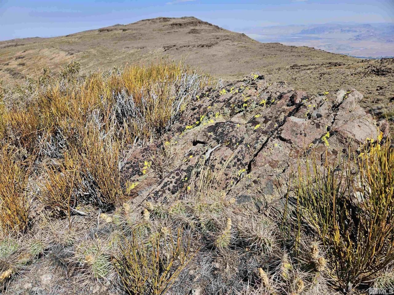 80 Rodero Road, Reno, NV 89510 Photo