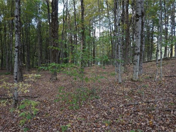 0 Mc Caw Road, Redfield, NY 13493