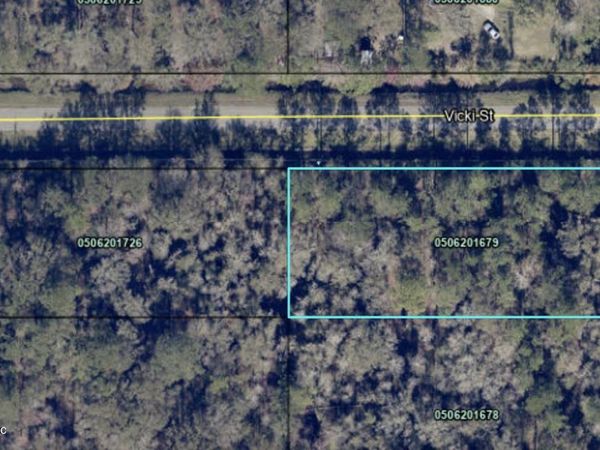 10305 NIKOLICH Avenue, Hastings, FL 32145