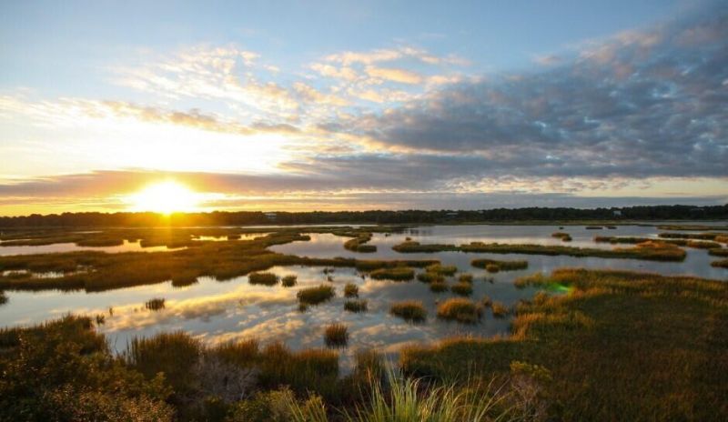 284 Pelican Flight Drive Photo 11