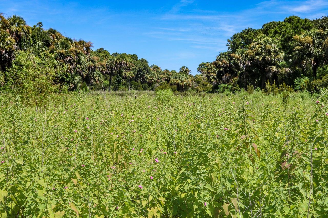 284 Pelican Flight Drive Photo 12