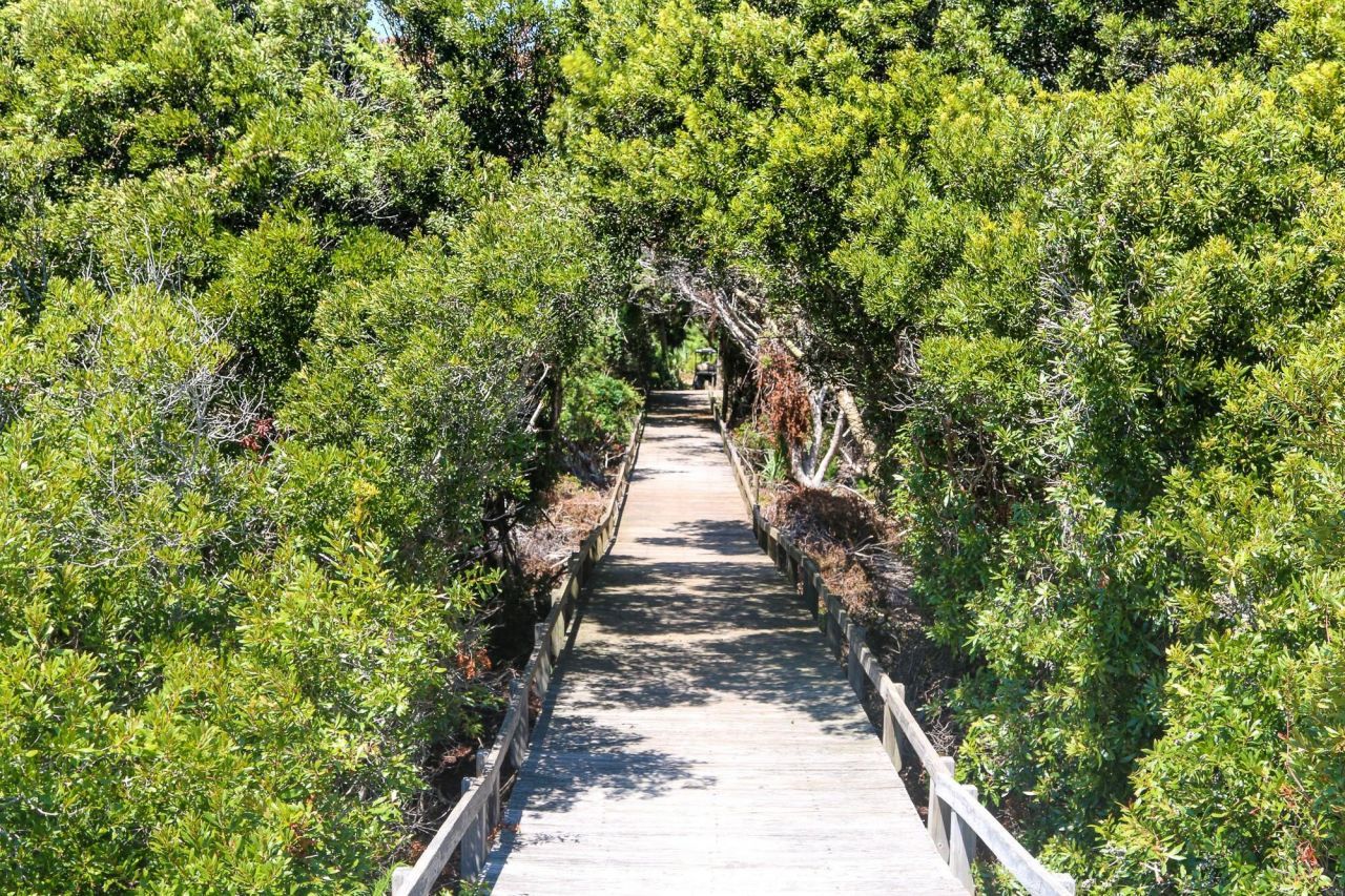 284 Pelican Flight Drive Photo 13