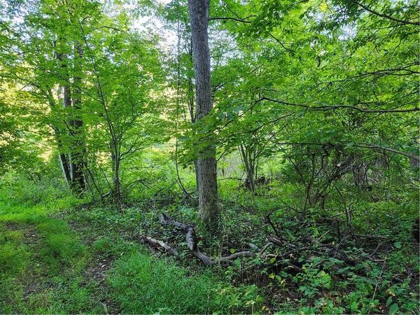 188 Old Stage Road, Saugerties, NY 12477