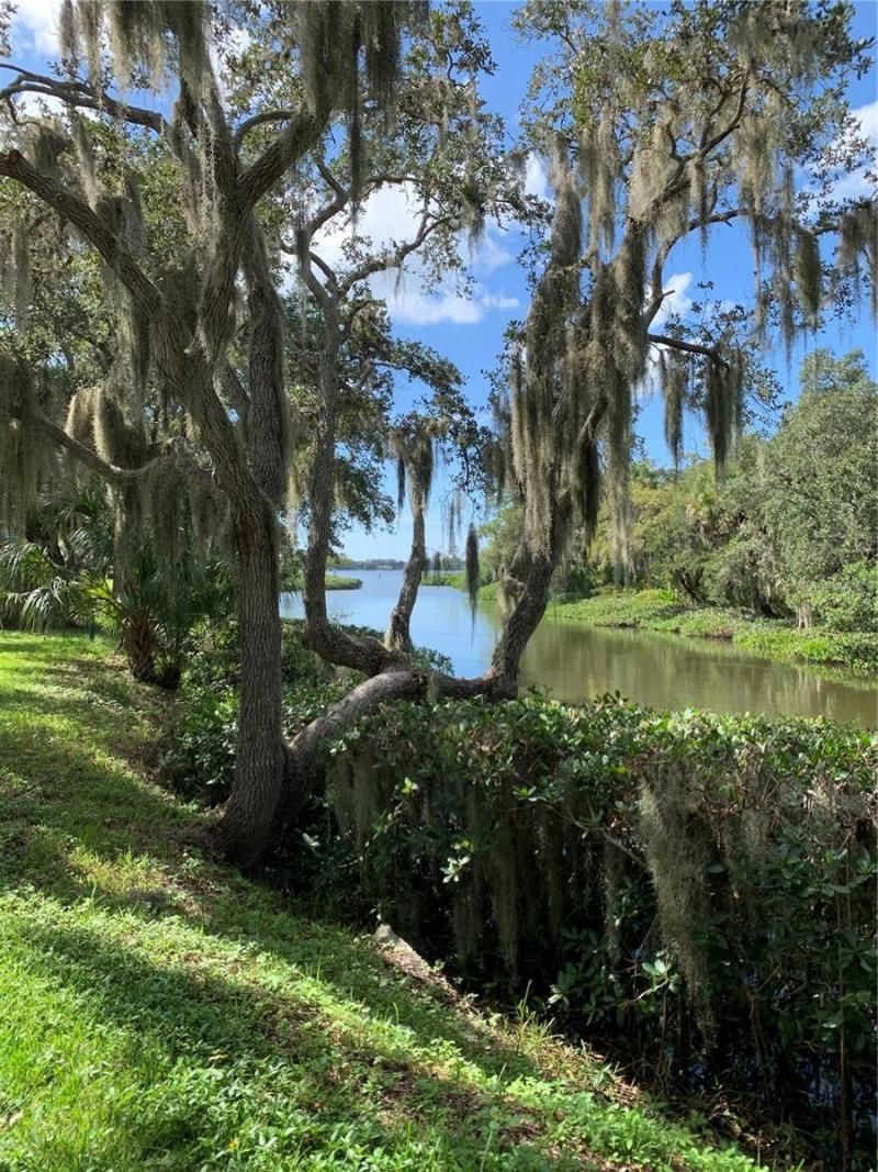 Please Call For Address, Sarasota, FL 34231 Photo