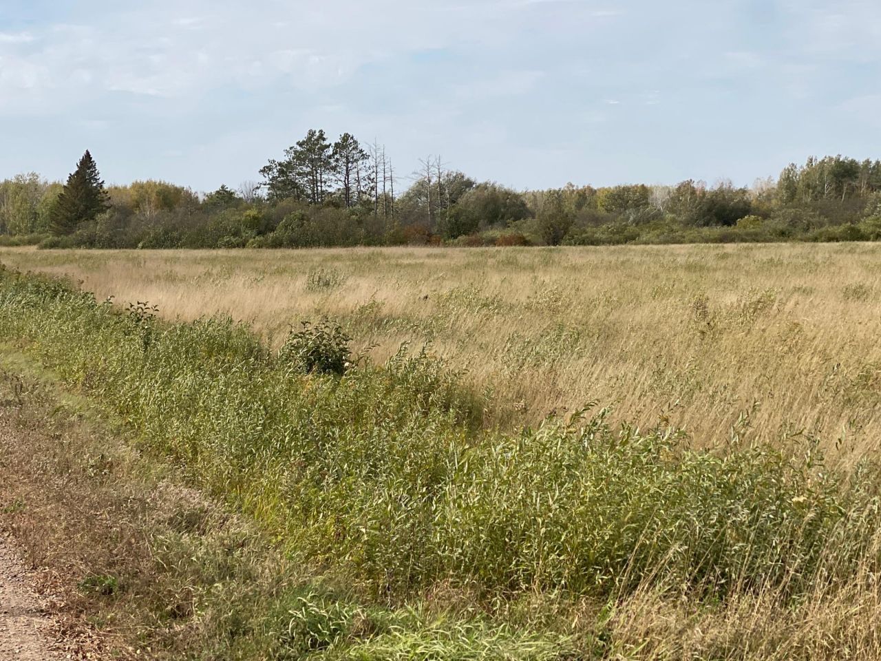 Xxxx Silver Creek Road, Kettle River, MN 55757 Main Photo