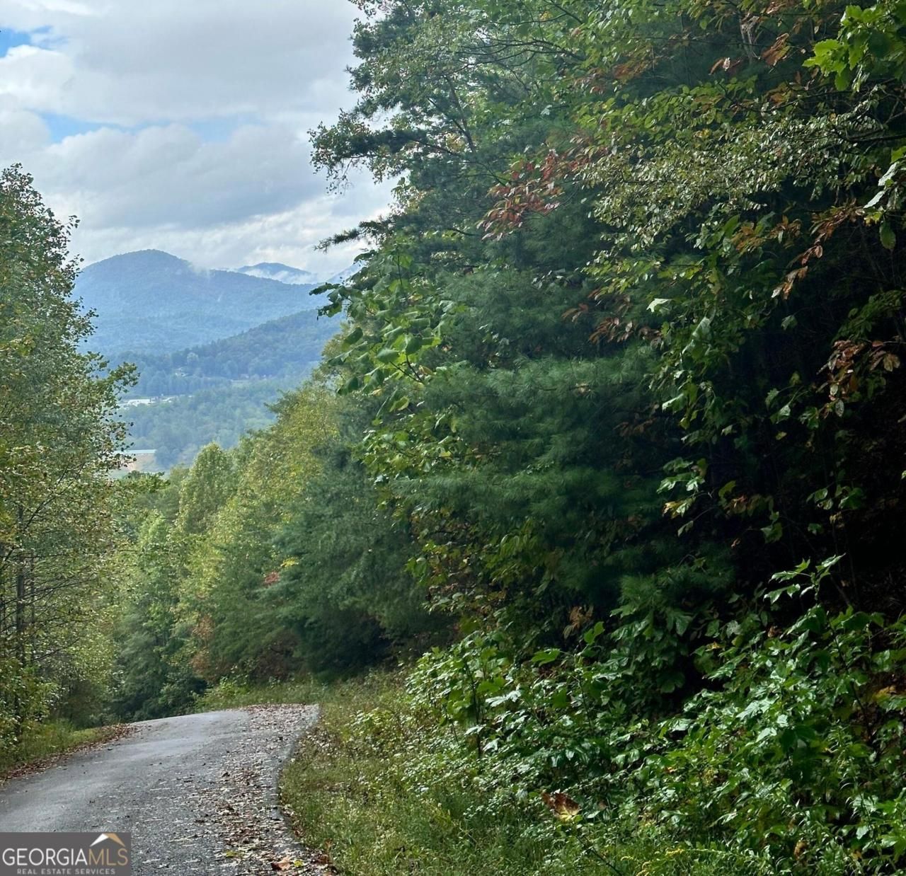Lot 22 Shake Hollow Drive, Rabun Gap, GA 30568 Main Photo