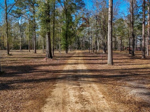 TBD (Lot 4) County Road 3545, Joaquin, TX 75954