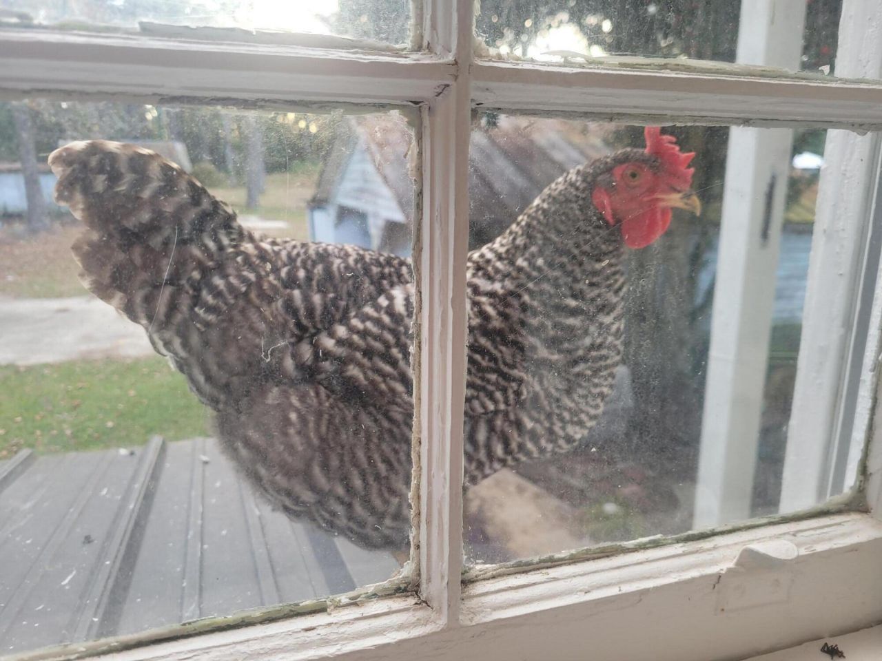 106 Church Street Photo 35