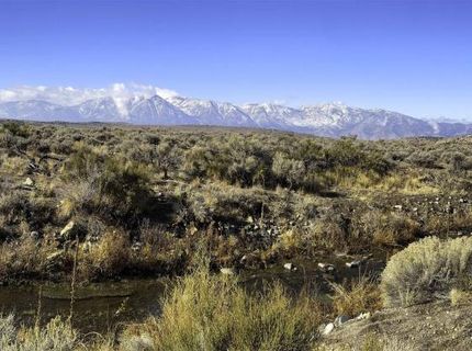 Tbd Bray Way, Gardnerville, NV 89410 Photo