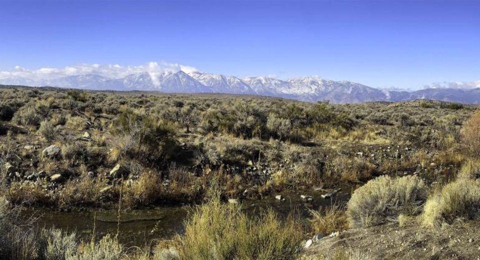 Tbd Bray Way, Gardnerville, NV 89410 Photo