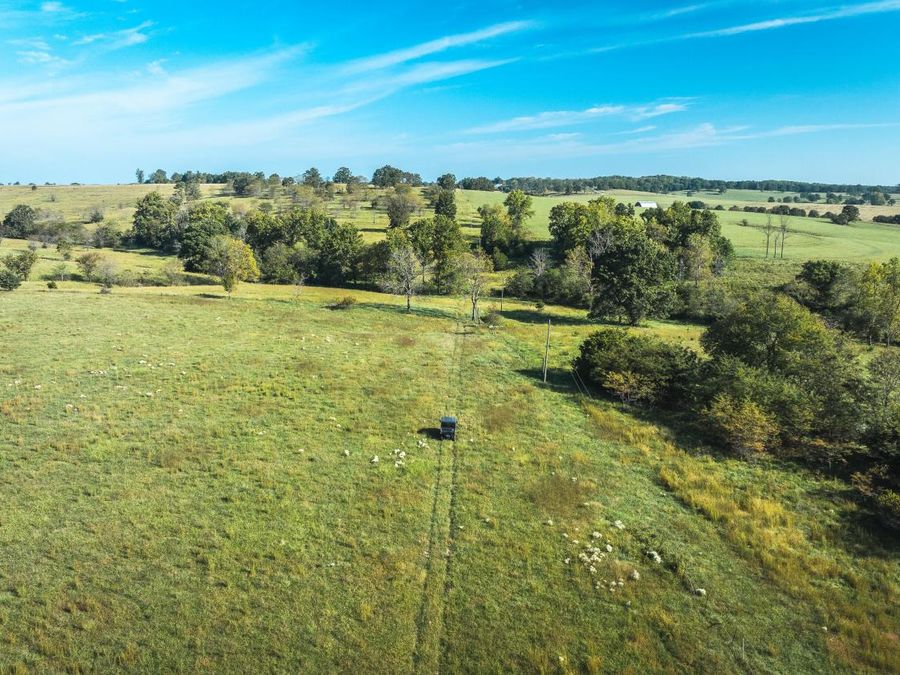 Property Image 58