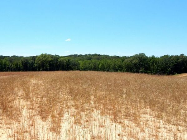 205 Hugh White State Park Road, Grenada, MS 38901