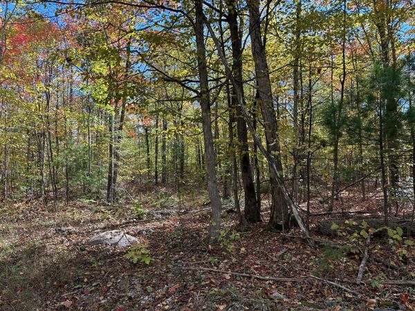 16441 Misiak Highway, Presque Isle, MI 49777