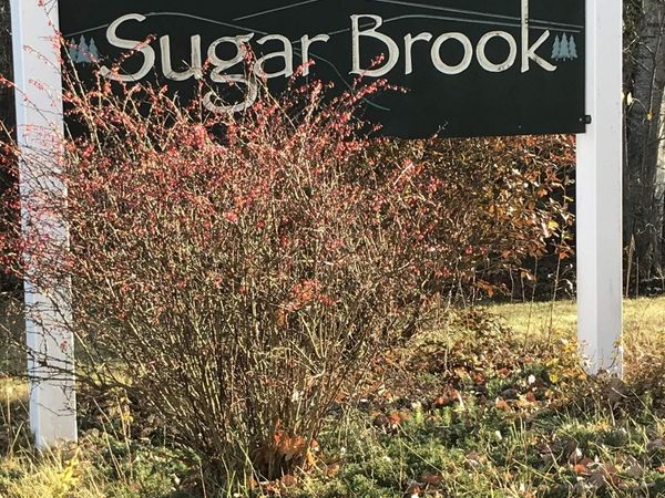 41 Brook View Road, Unit 120-003, Newport, NH 03773