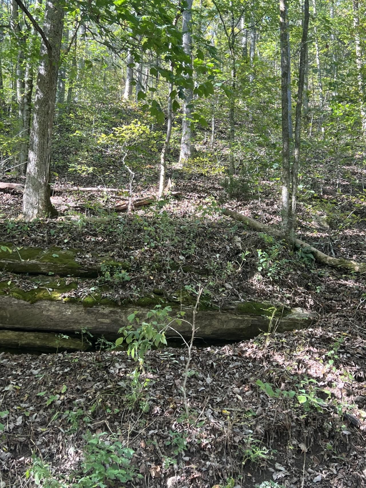 0 Neeley Creek Rd, Celina, TN 38551 Main Photo