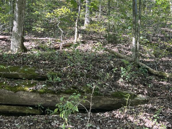0 NEELEY CREEK RD, Celina, TN 38551