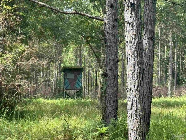 0 Nokomis Rd, Walnut Hill, FL 32568