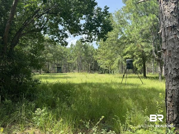 0 Nokomis Road, Walnut Hill, FL 32568