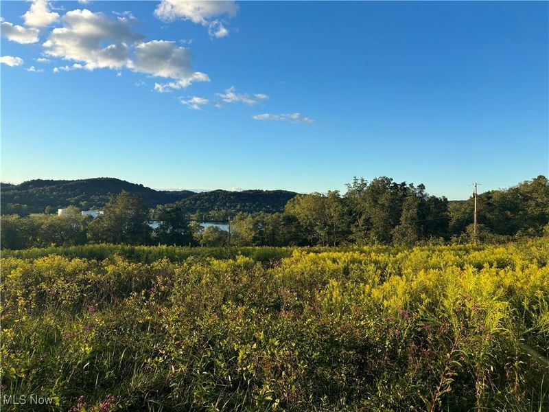 115 McElroy Run Road, Belmont, WV 26134 Photo 2