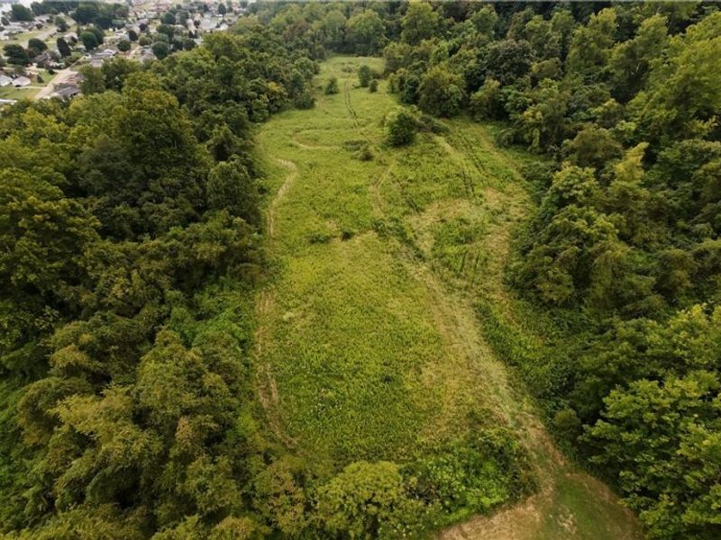 115 McElroy Run Road, Belmont, WV 26134 Photo 21