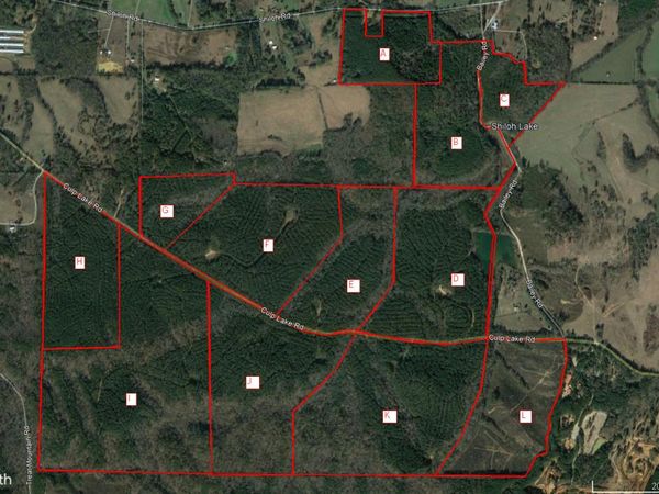 0 Culp Lake Road, Unit 1025-I, Cedartown, GA 30125