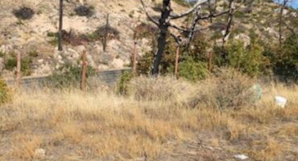 1364 Lumpkin Rd, Oroville, CA 95966 Photo
