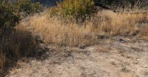 1364 Lumpkin Rd, Oroville, CA 95966 Photo