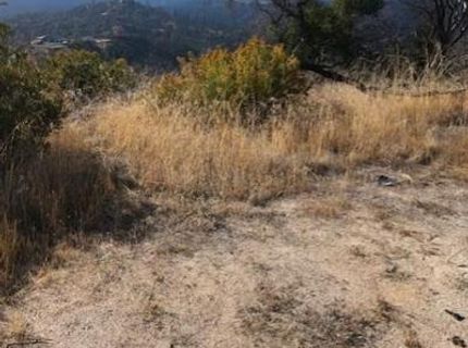 1364 Lumpkin Rd, Oroville, CA 95966 Photo