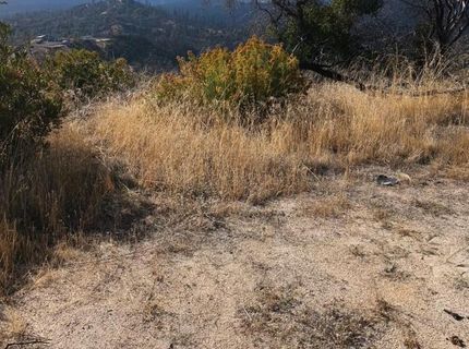1364 Lumpkin Rd, Oroville, CA 95966 Photo