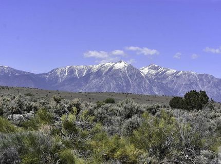 Tbd Homestead, Gardnerville, NV 89410 Photo