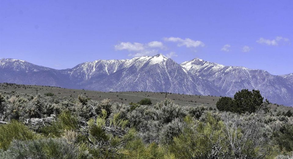 Tbd Homestead, Gardnerville, NV 89410 Photo