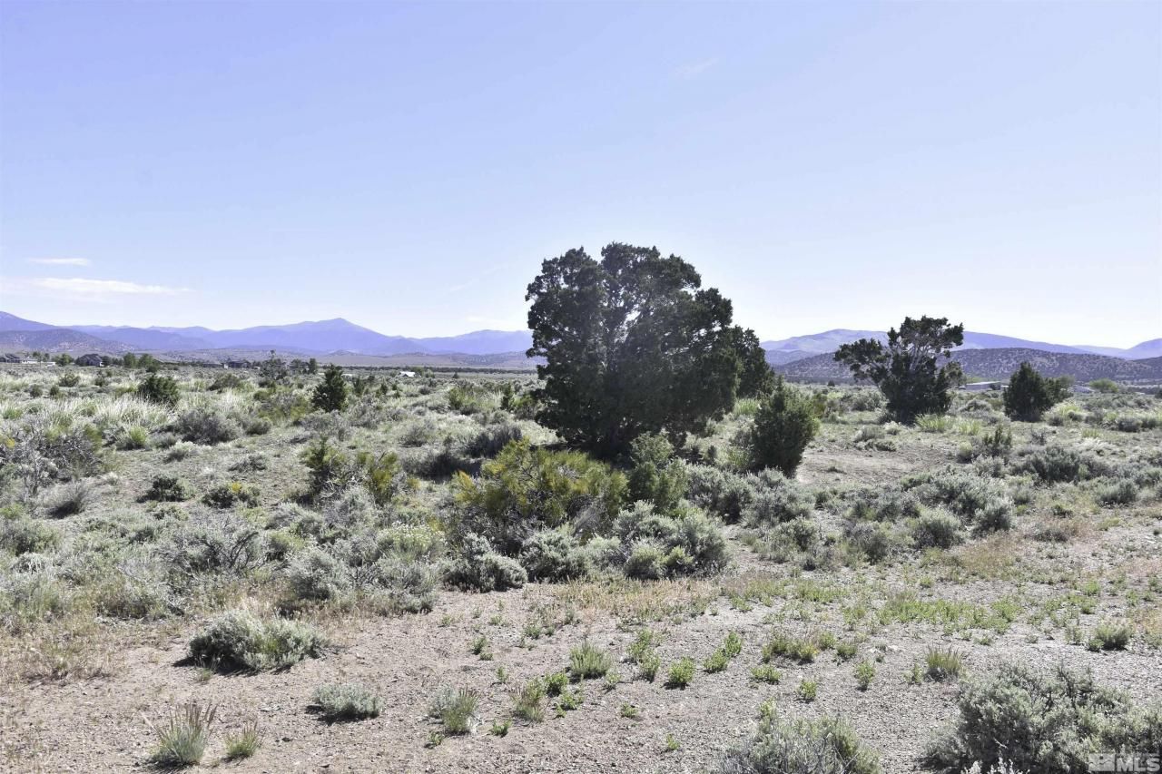 Tbd Homestead, Gardnerville, NV 89410 Photo