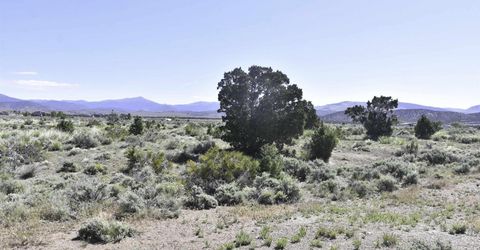 Tbd Homestead, Gardnerville, NV 89410 Photo
