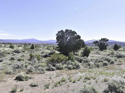 Tbd Homestead, Gardnerville, NV 89410 Photo