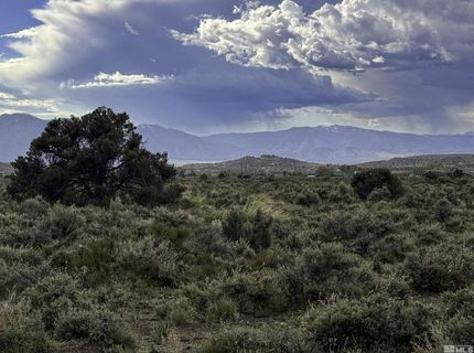 Tbd Homestead, Gardnerville, NV 89410 Photo