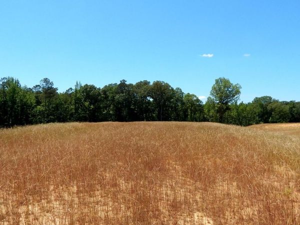 206 Hugh White State Park Road, Grenada, MS 38901