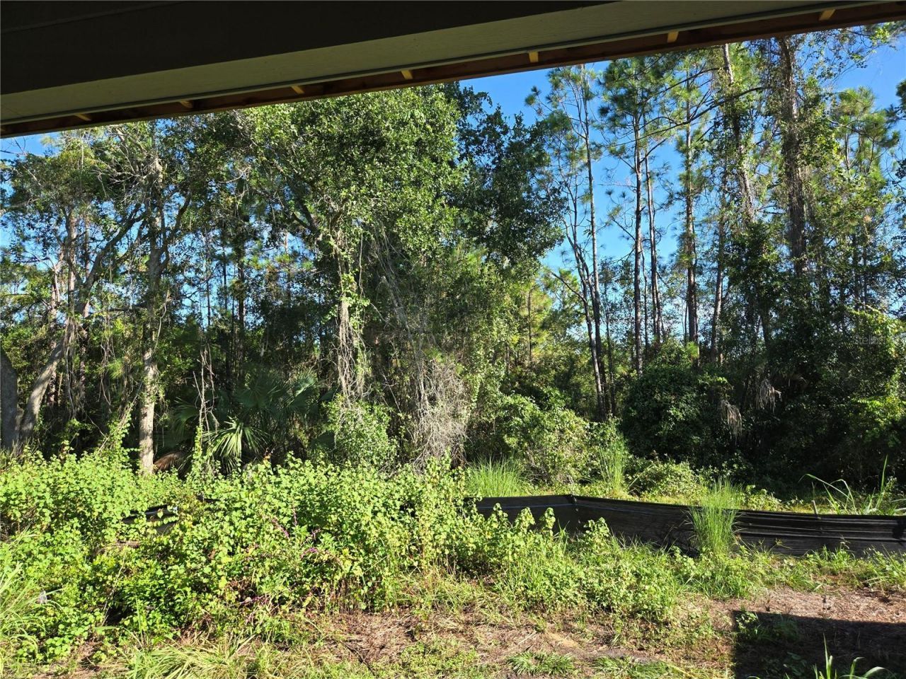 405 Long And Winding Road, Howey in the Hills, FL 34737 Photo