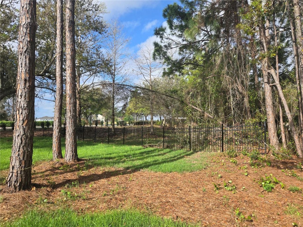 405 Long And Winding Road, Howey in the Hills, FL 34737 Photo