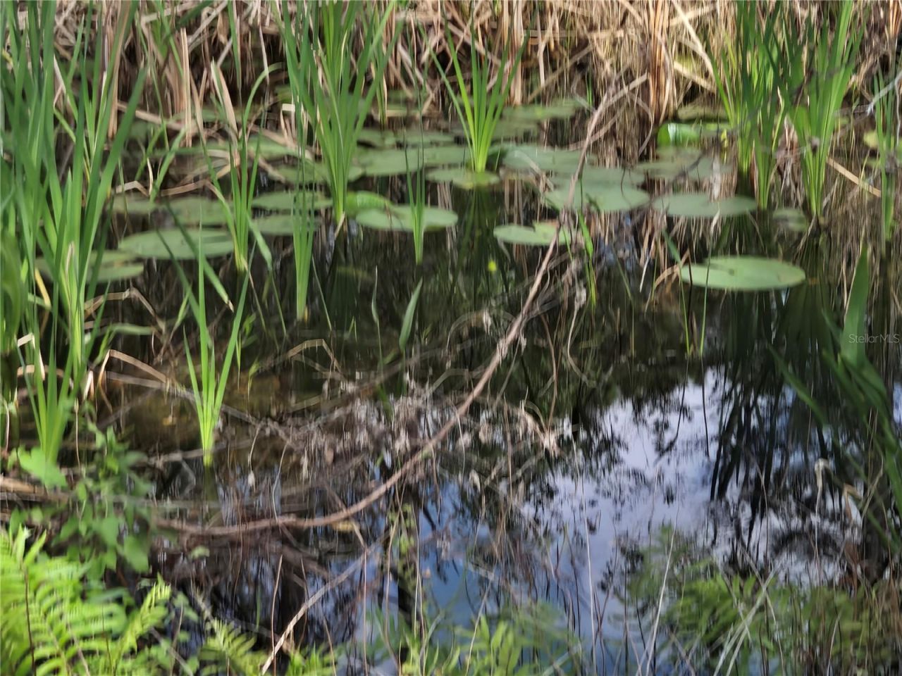 405 Long And Winding Road, Howey in the Hills, FL 34737 Photo