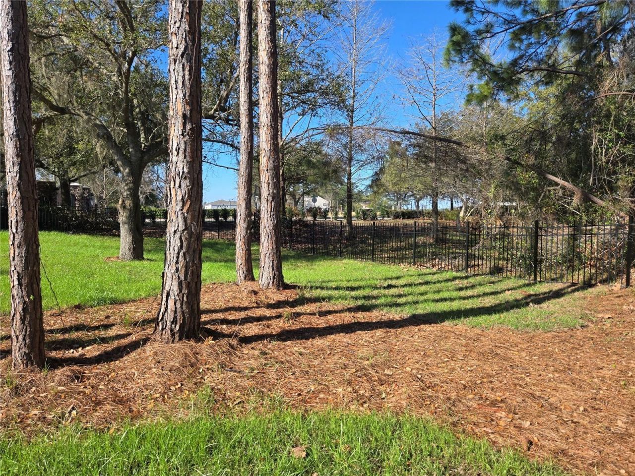 405 Long And Winding Road, Howey in the Hills, FL 34737 Photo
