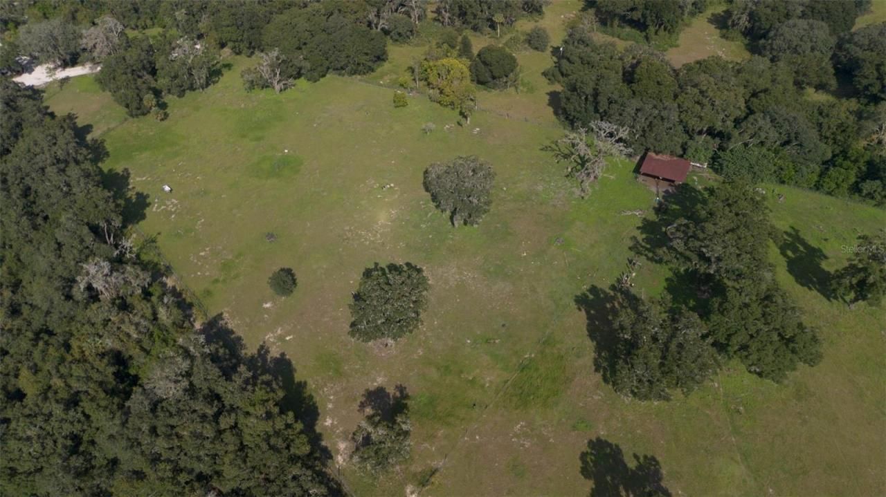 12750 Morris Bridge Road, Thonotosassa, FL 33592 Photo