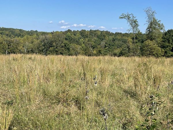 0 Oak Grove Road, Red Boiling Springs, TN 37150