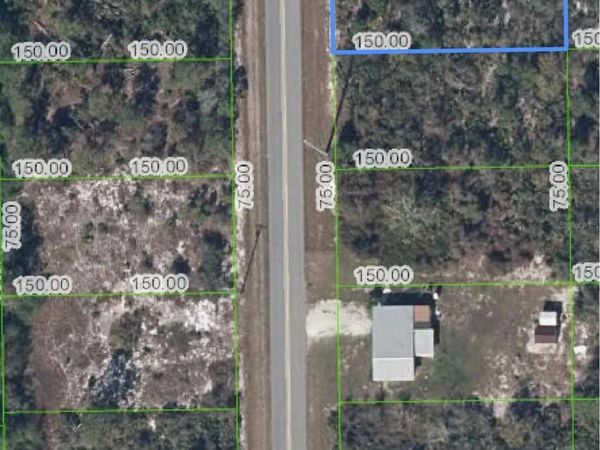 411 HALLMARK AVENUE, LAKE PLACID, FL 33852