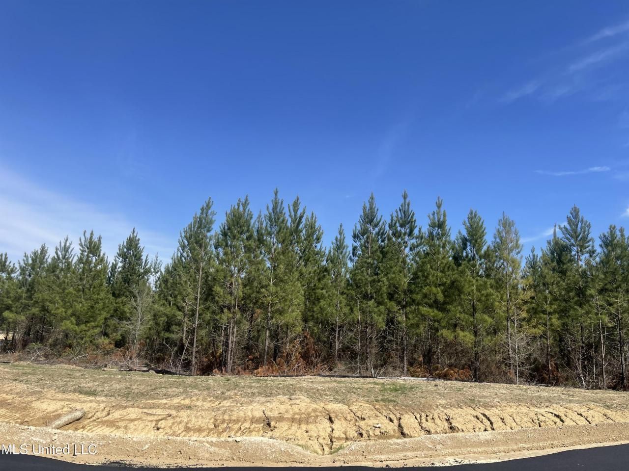 754 Freedom Ridge Lane, Brandon, MS 39047 Main Photo