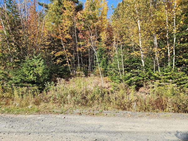 Lot 5-8 Bushey Road, Greenville, ME 04441