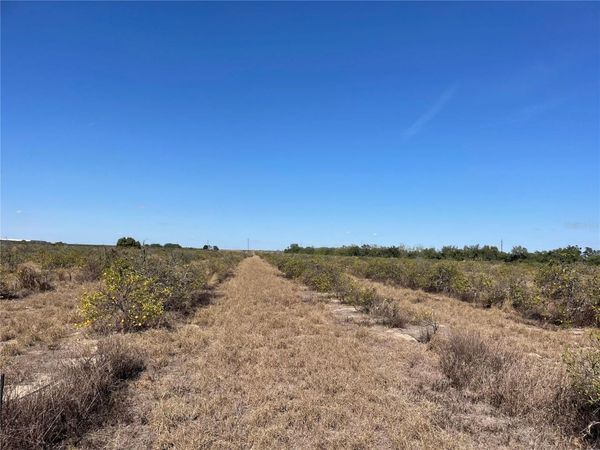 LAWRENCE STEWART ROAD, FROSTPROOF, FL 33843