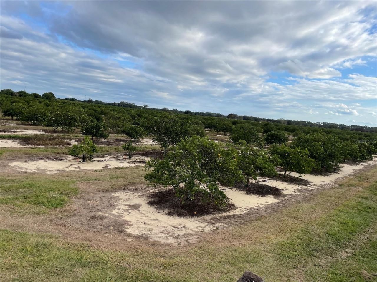 Lawrence Stewart Road, Frostproof, FL 33843 Photo